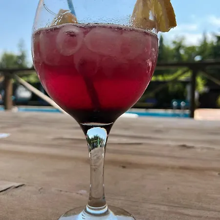 комплекс тракийски стан 酒店