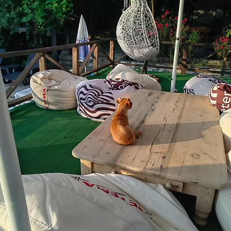 комплекс тракийски стан 酒店 *
