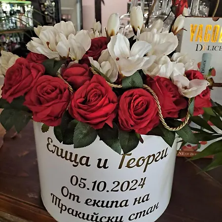 酒店 комплекс тракийски стан 阿塞诺夫格勒