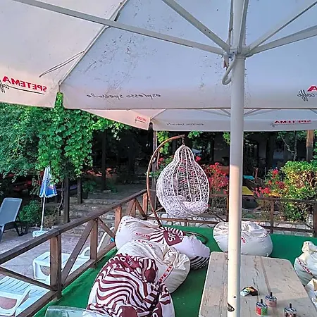 комплекс тракийски стан 阿塞诺夫格勒